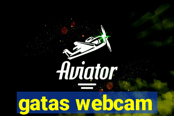 gatas webcam